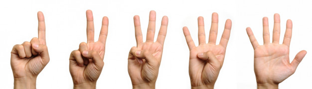 12345fingers